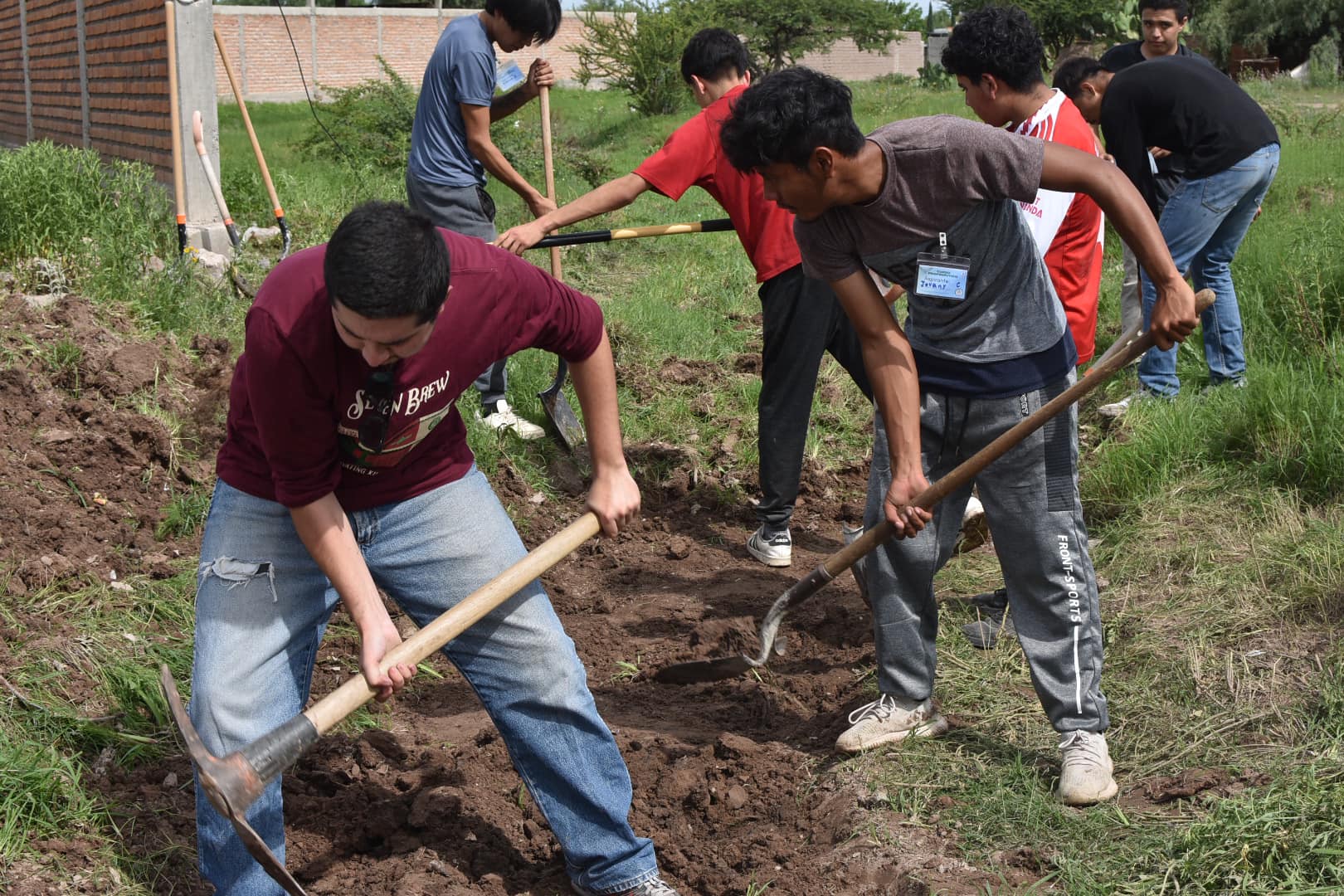 Actividades comunitarias de limpieza